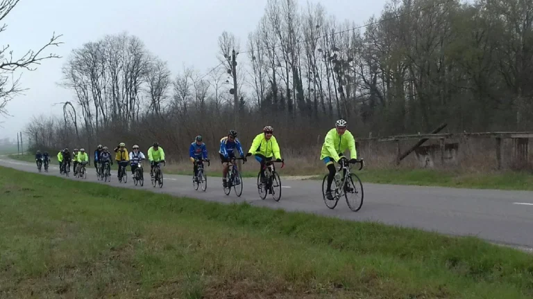 Peloton du club sur une route bordée d'arbres